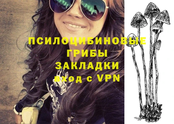 a pvp Аркадак